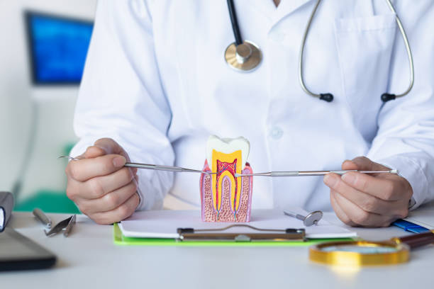 Best Walk-In Emergency Dental Services in Osceola, MO